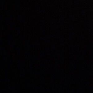 Meet your Posher, Wally